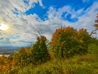 Similar image 22255096