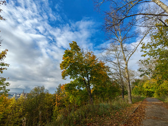 Similar image 22259806