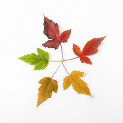 Similar image 22251533