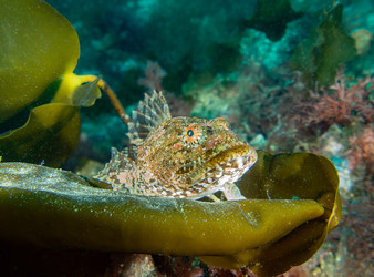 Similar image 22255099