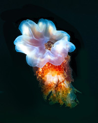 Similar image 22251512