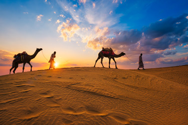 Similar image 22276767