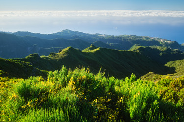 Similar image 22276779