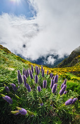 Similar image 22276847