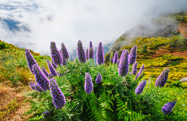 Similar image 22276848