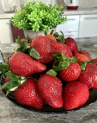 Similar image 22251513