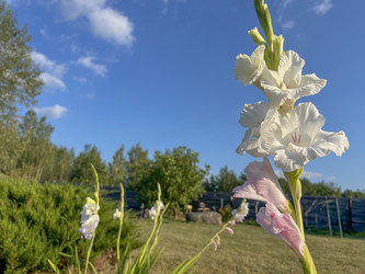 Similar image 22252110