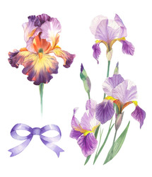 Similar image 22252210