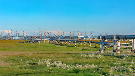 Similar image 22253282