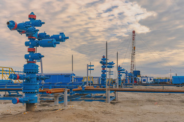 Similar image 22253459