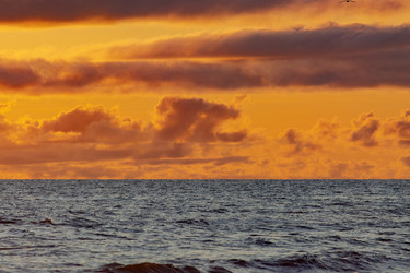 Similar image 22253470