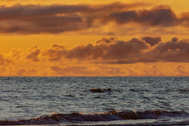 Similar image 22253471