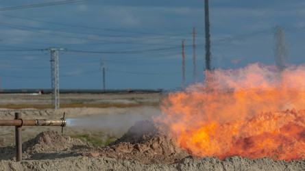 Similar image 22253284