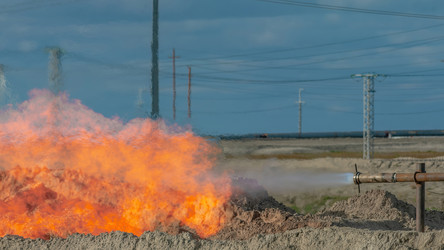 Similar image 22253285