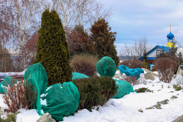 Similar image 22251743