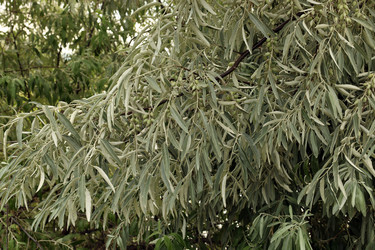 Similar image 22251744