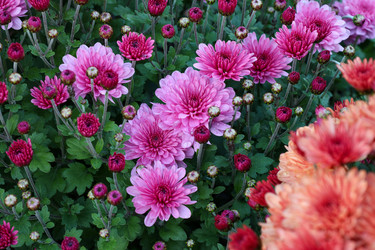 Similar image 22251745