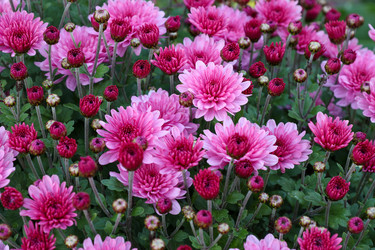 Similar image 22251746