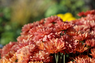 Similar image 22251747