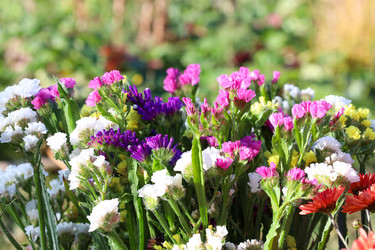 Similar image 22251748