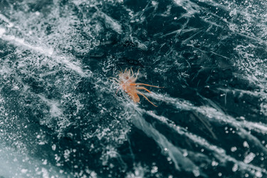 Similar image 22281771