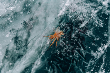 Similar image 22281772