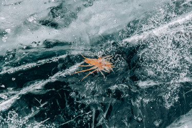 Similar image 22281773