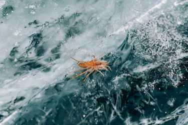 Similar image 22281774