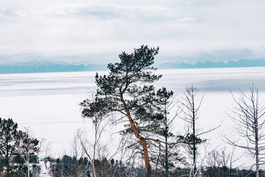 Similar image 22281832