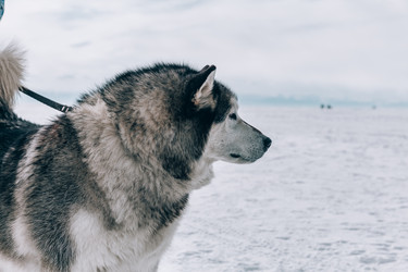 Similar image 22281845