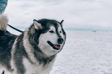 Similar image 22281847