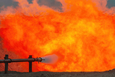 Similar image 22253296