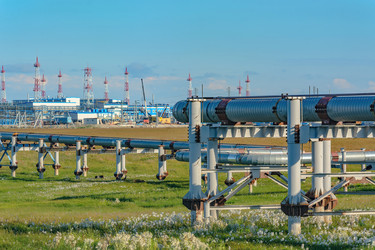 Similar image 22253311