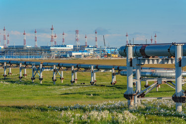 Similar image 22253312