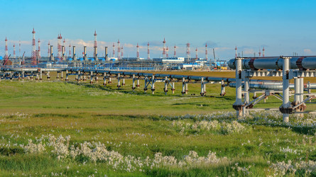 Similar image 22253313