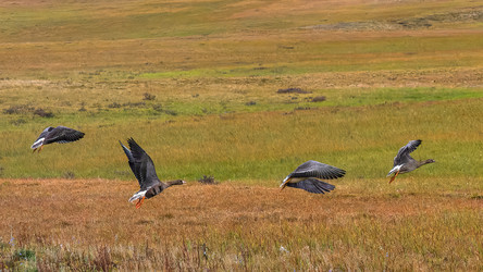 Similar image 22253328