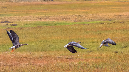 Similar image 22253329