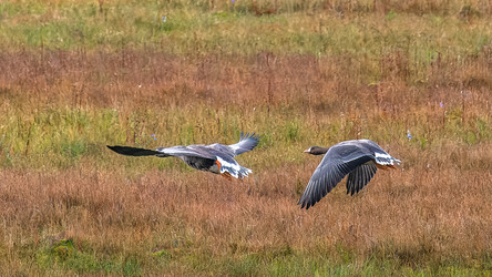 Similar image 22253500