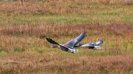 Similar image 22253501