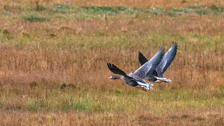 Similar image 22253502