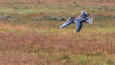 Similar image 22253503