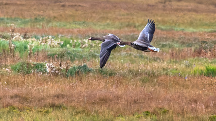 Similar image 22253504