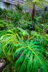 Similar image 22251523