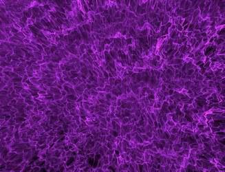 Similar image 22281174