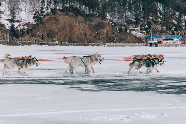 Similar image 22281887