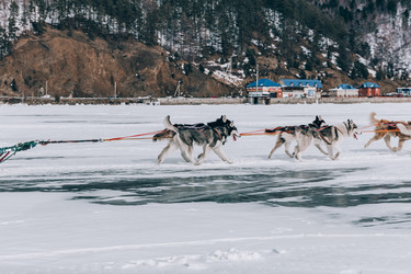 Similar image 22281890