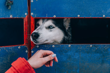 Similar image 22281893