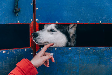 Similar image 22281894