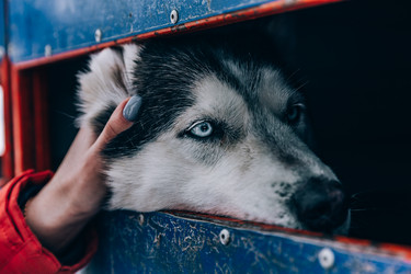 Similar image 22281896