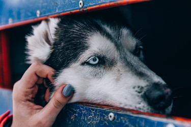 Similar image 22281897